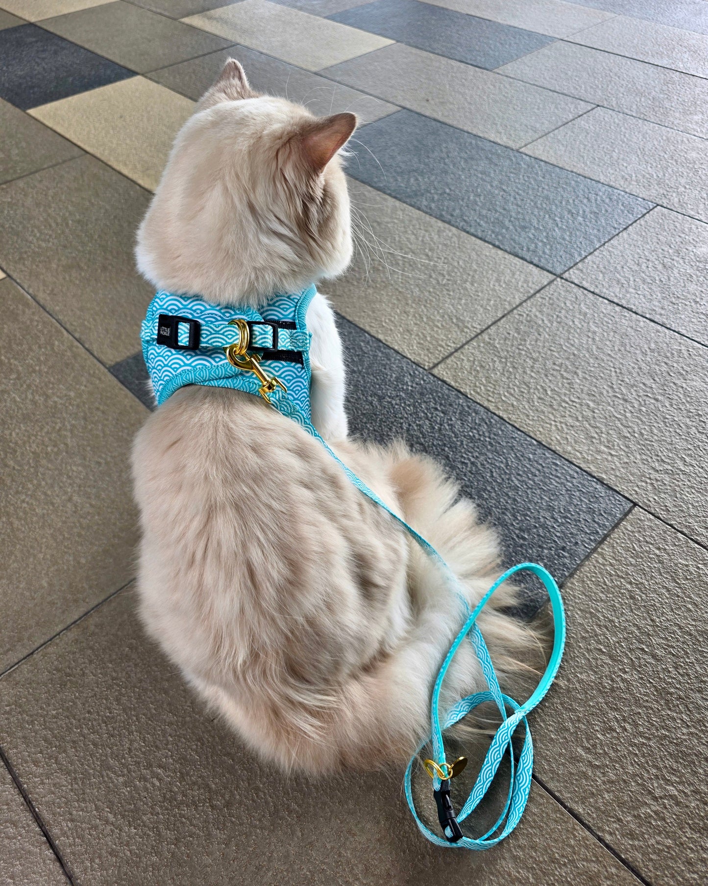 Pixie Step-In Harness in Nami Jade
