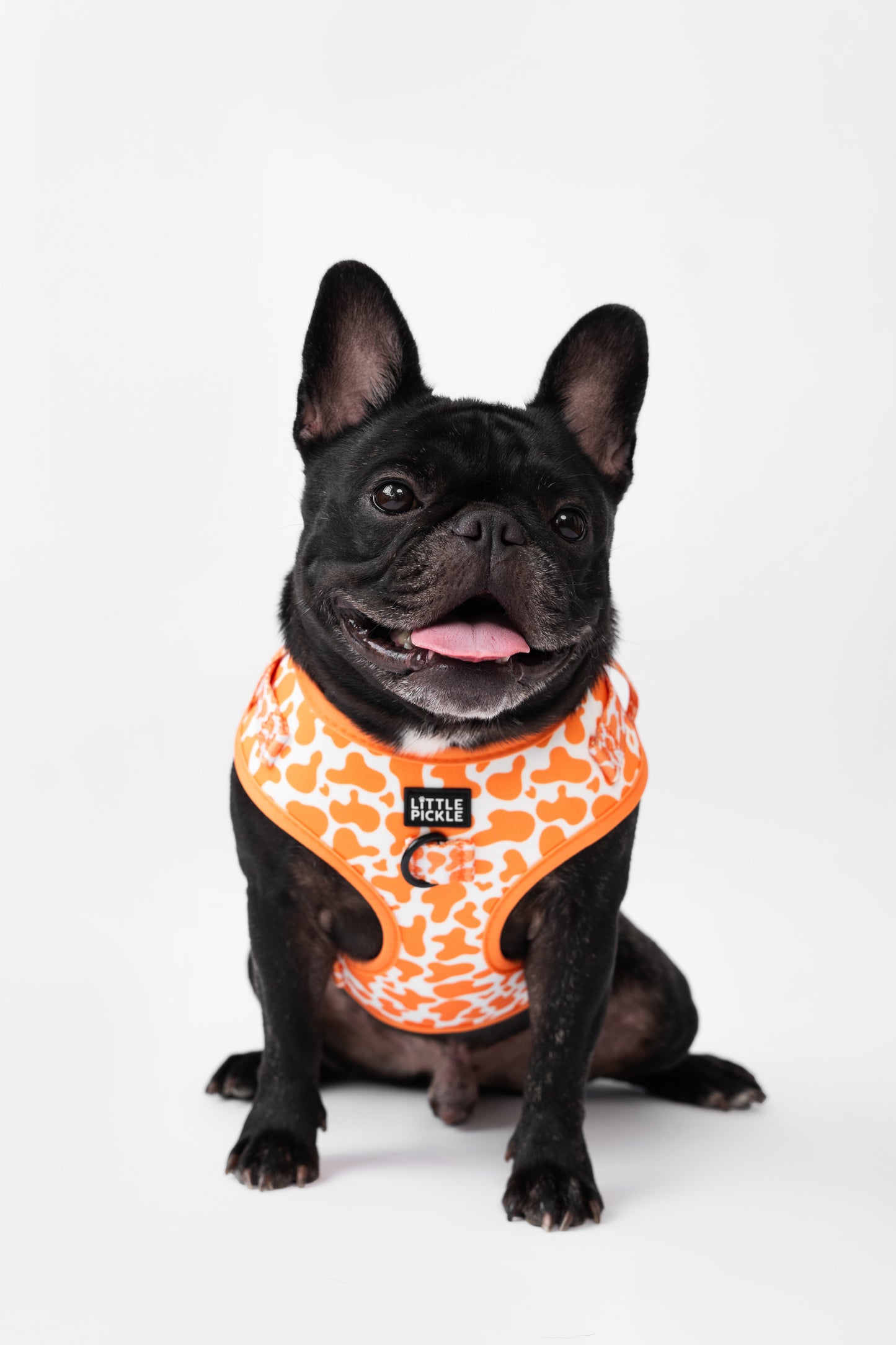 Neo Adjustable Harness in Orange Splash
