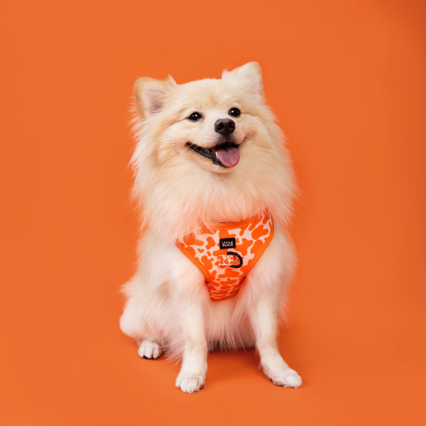 Neo Adjustable Harness in Orange Splash