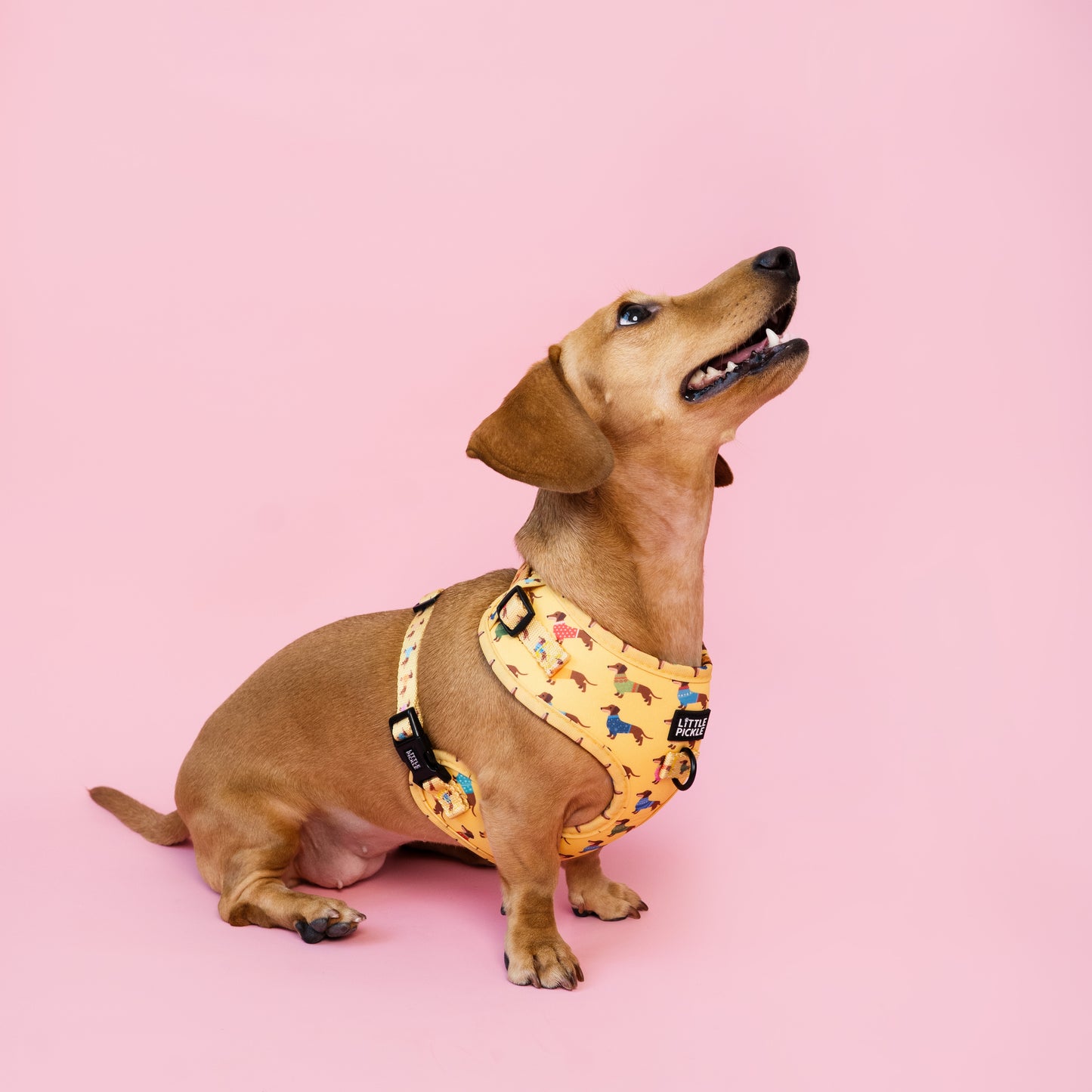 Neo V2 Adjustable Harness in Yellow Sausage Squad