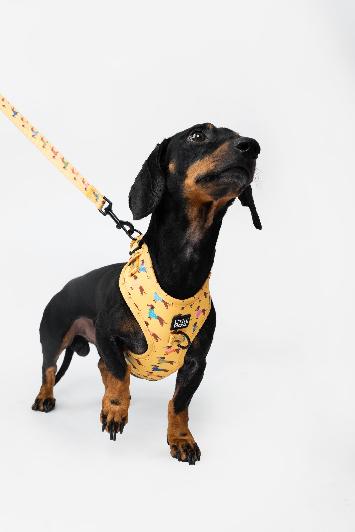 Neo V2 Adjustable Harness in Yellow Sausage Squad