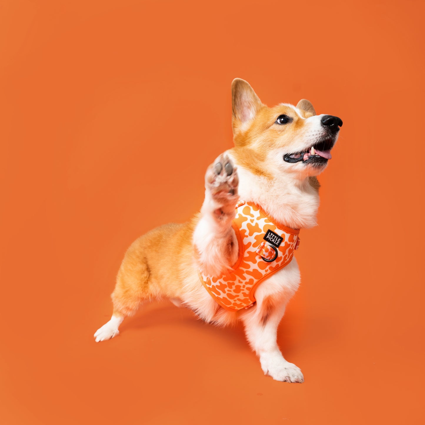 Neo Adjustable Harness in Orange Splash