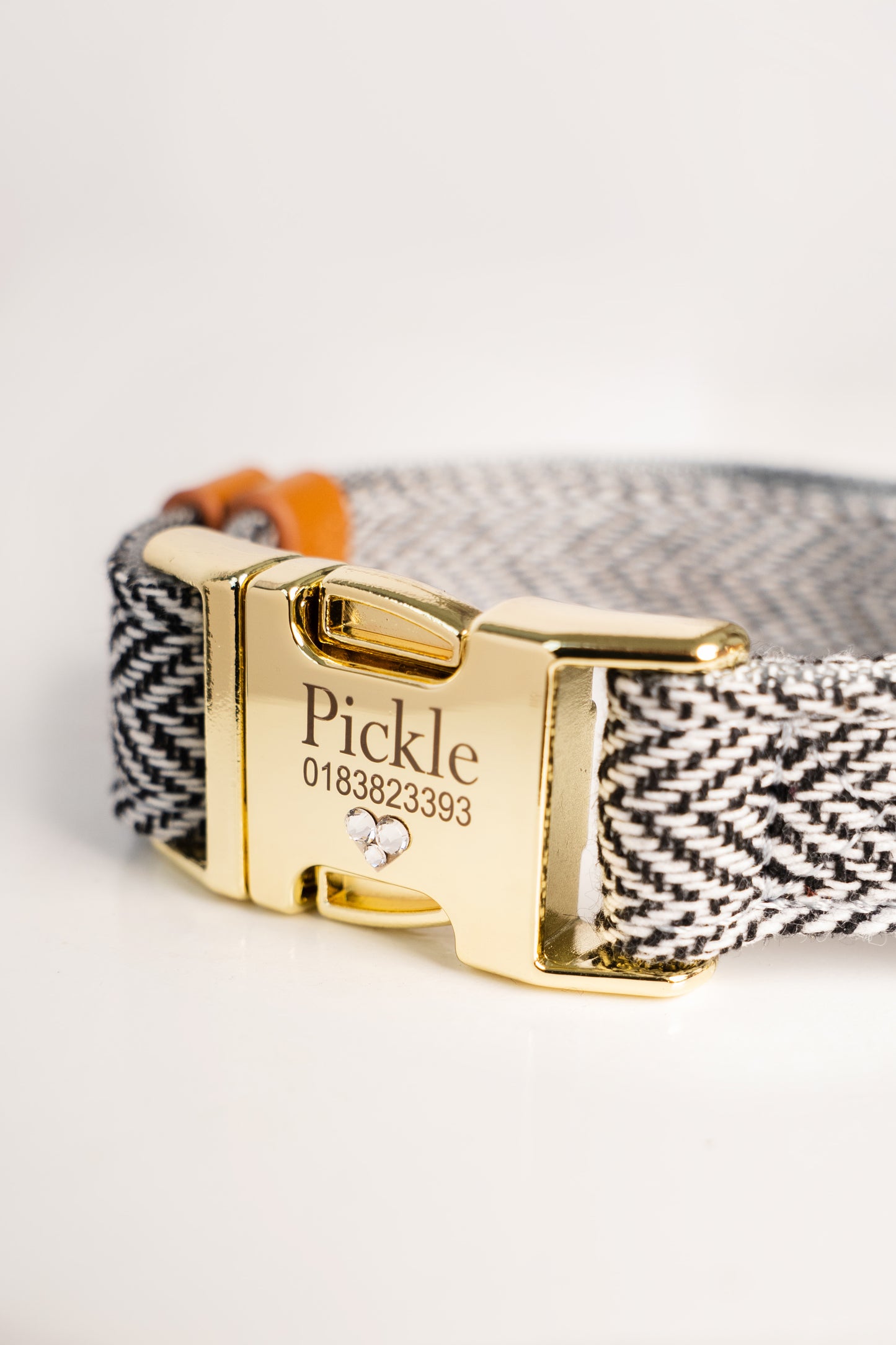 Dog collar with gold buckle and engraved name 'Pickle' on a white background