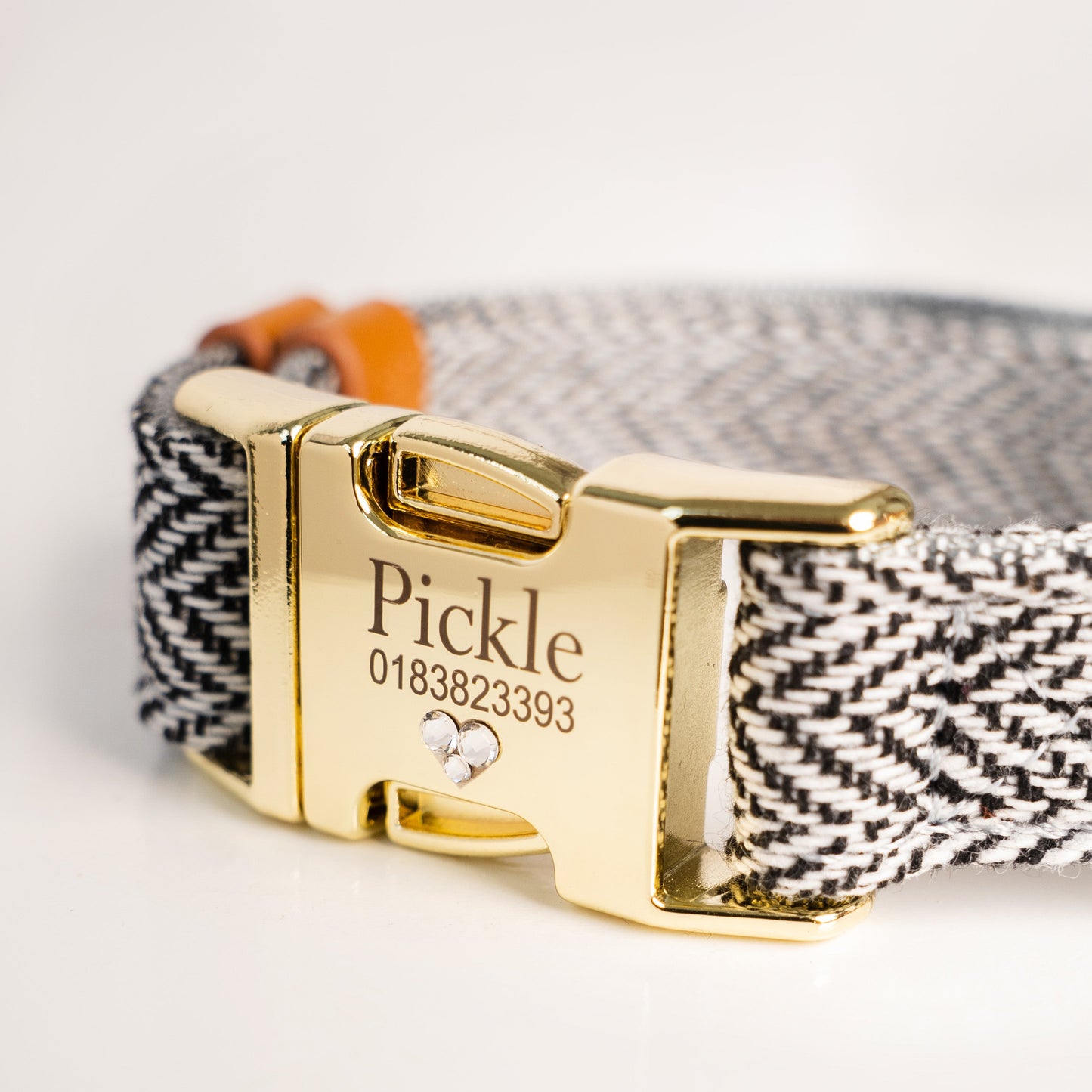 Dog collar with gold buckle and engraved name 'Pickle' on a white background