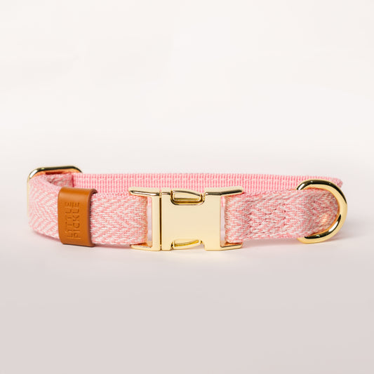 Pink dog collar with gold buckle and brown leather strap on a white background