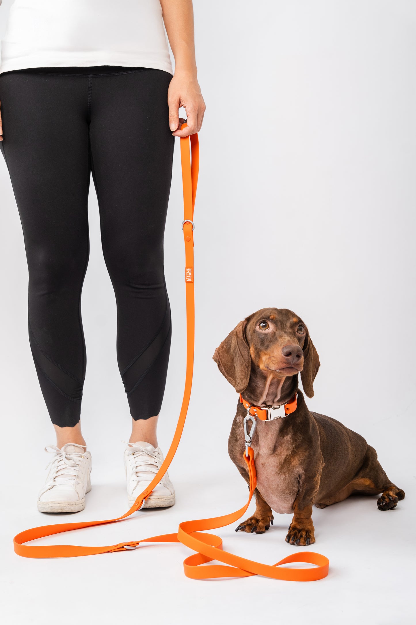 Ripply Waterproof Hands-Free Multiway Leash in Lifeguard Orange