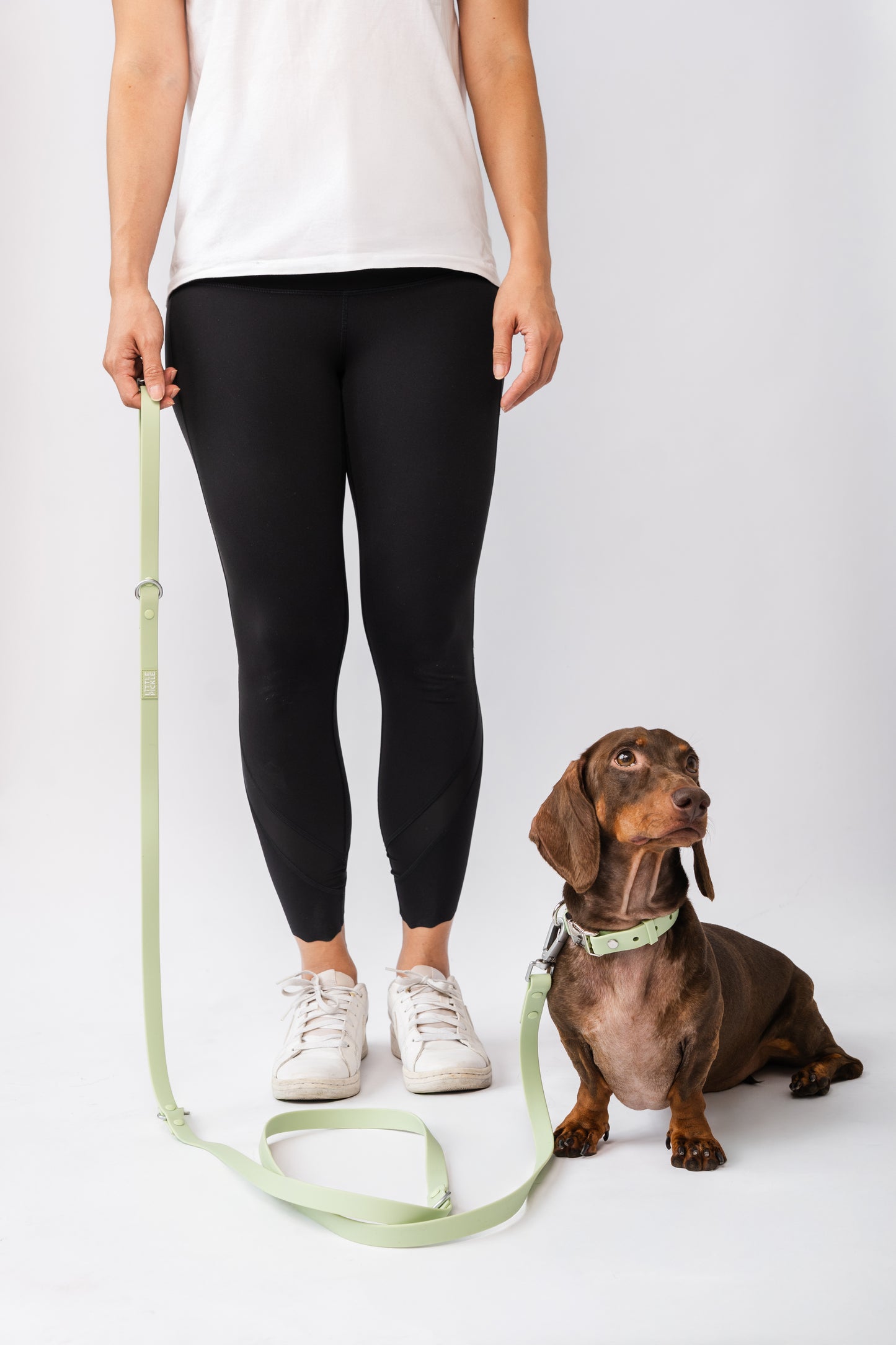Ripply Waterproof Hands-Free Multiway Leash in Avo-Milk Green