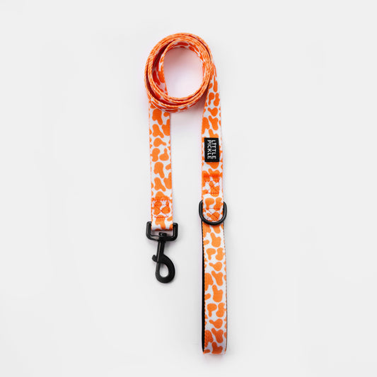 Classic Comfort Leash in Orange Splash