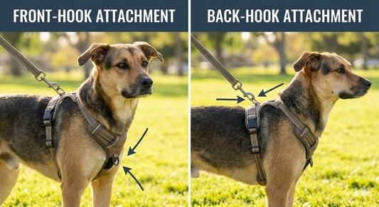 Front vs Back Hooking on Dog Harness: The Ultimate Guide (Updated 2026)