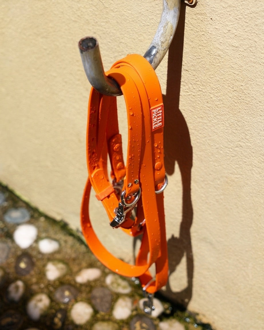 Ripply Waterproof Hands-Free Multiway Leash