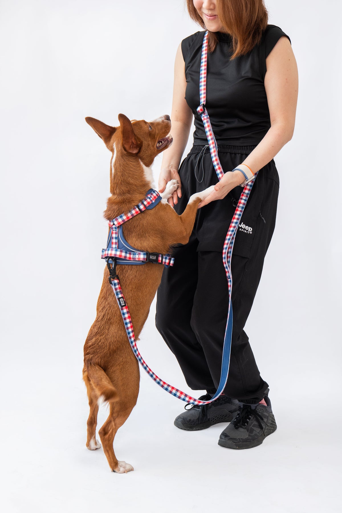 Brambel Multiway Leash