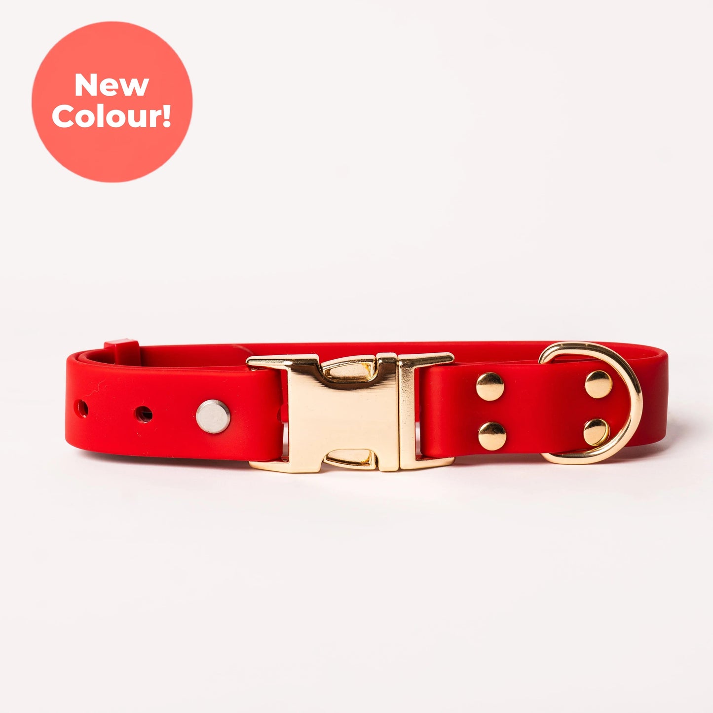 Ripply Waterproof Collar in Royale Red