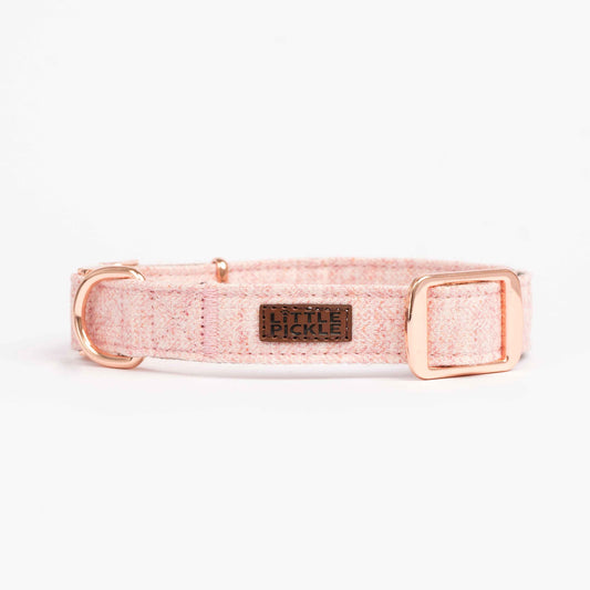 stylish pet collar is made of nylon webbing wrapped in high-quality twill cloth
