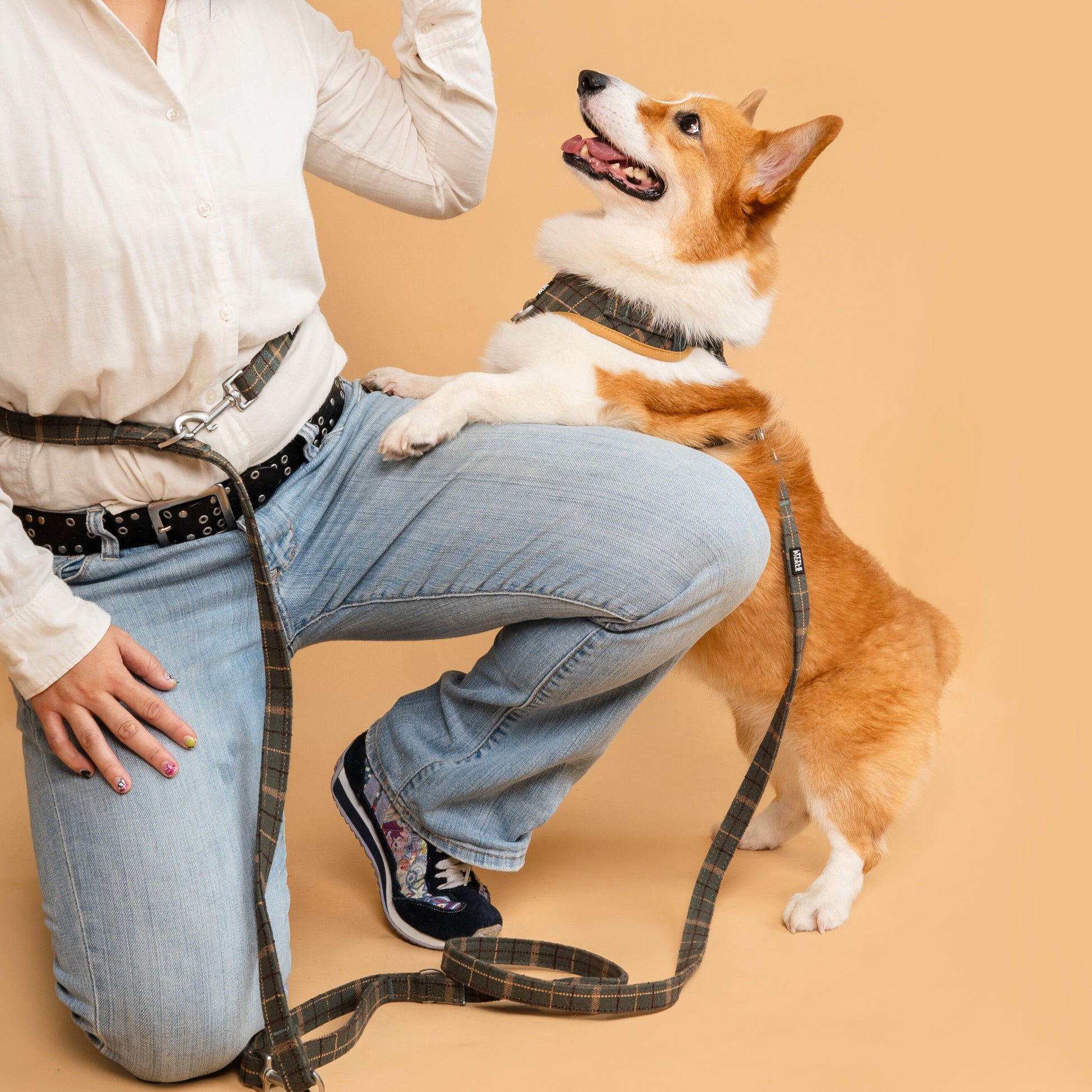 Hands-Free Leash Extender in Forest Green Plaid - Little Pickle