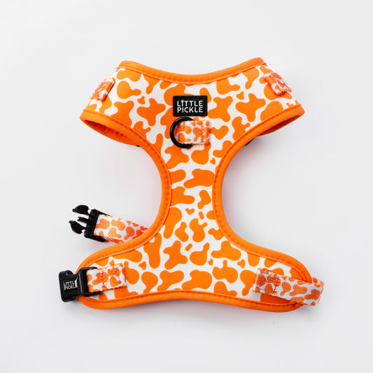 Neo Adjustable Harness in Orange Splash