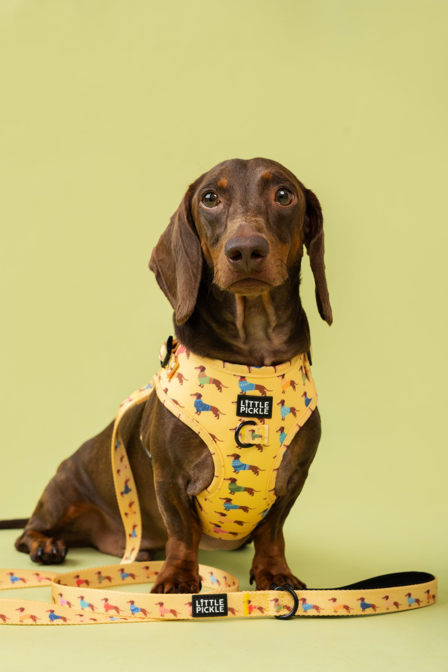 Neo V2 Adjustable Harness in Yellow Sausage Squad