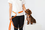 Person holding an orange dog leash with a small brown dog on a white background
