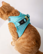 Cat wearing a teal wave patterned harness on a white background