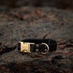 A black pvc dog collar with a gold-tone metal buckle and hardware, resting on a dark, textured rock.