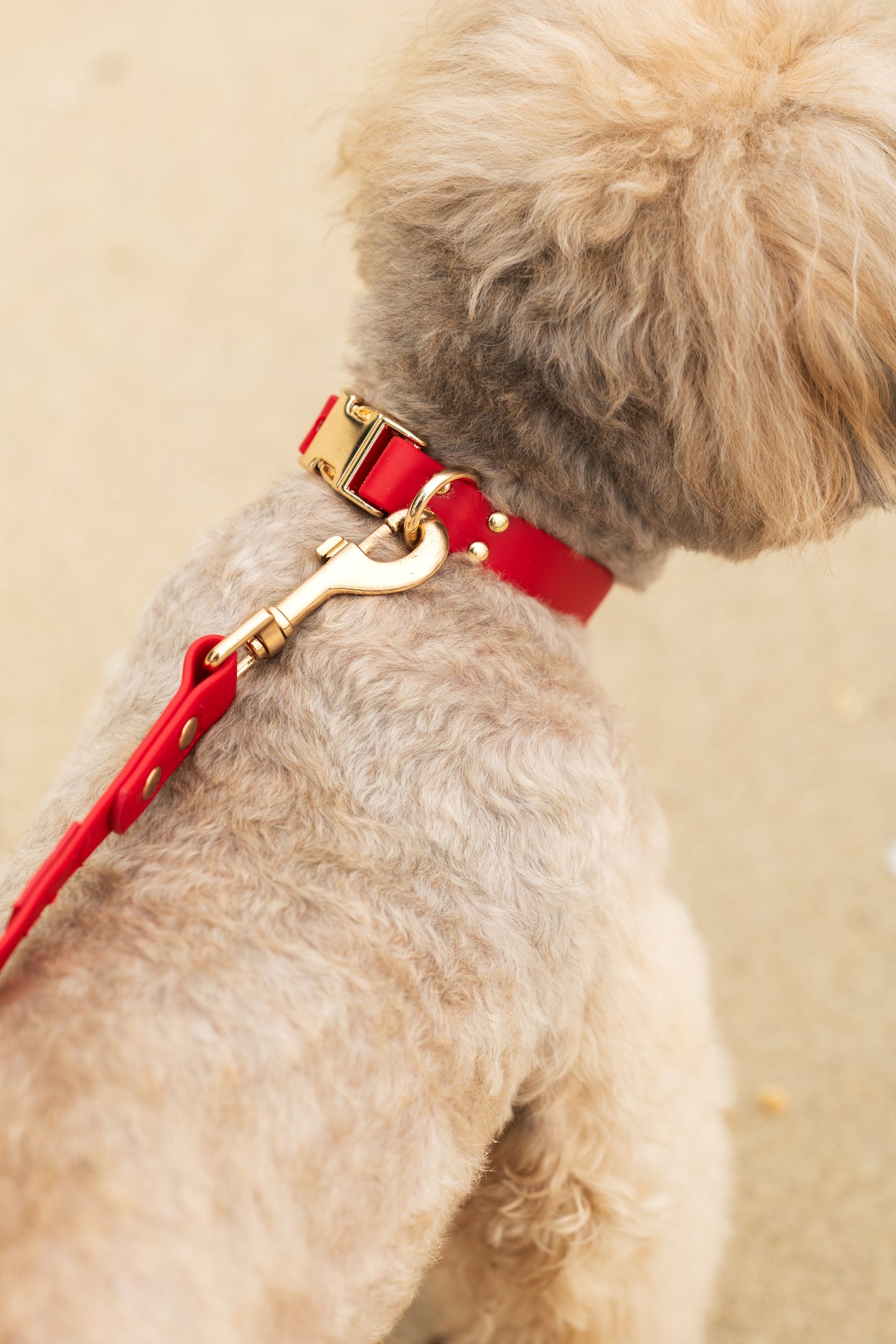 Ripply Waterproof Collar in Royale Red