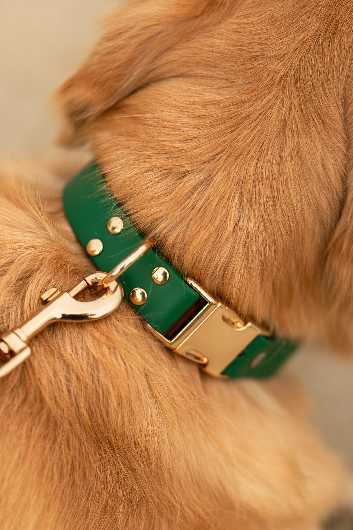 Ripply Waterproof Collar in Royale Green