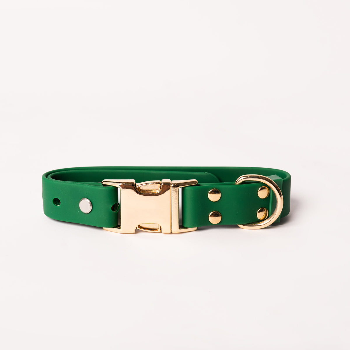 A green dog collar with a gold-tone metal buckle, D-ring, and rivets, displayed on a clean white background.