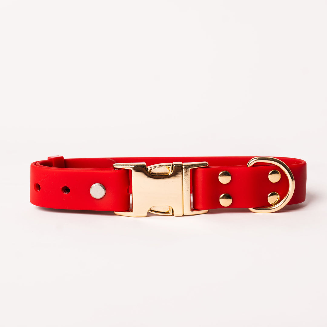 A red dog collar with a polished gold-tone metal buckle, adjustment holes, and a D-ring, shown on a clean off-white background.