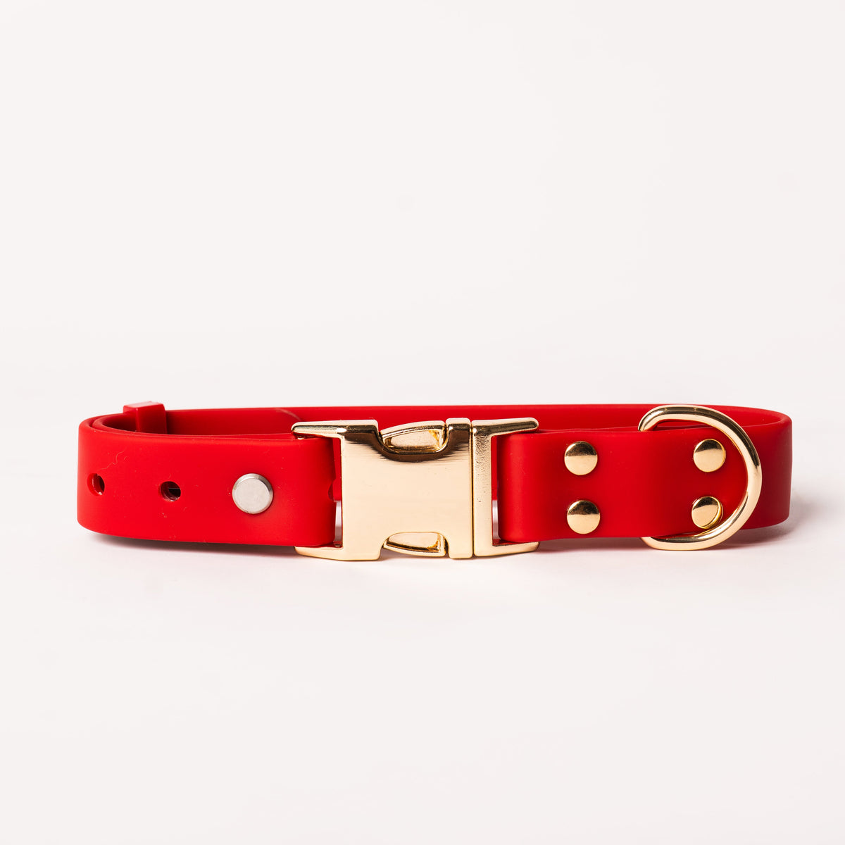 A red dog collar with a polished gold-tone metal buckle, adjustment holes, and a D-ring, shown on a clean off-white background.