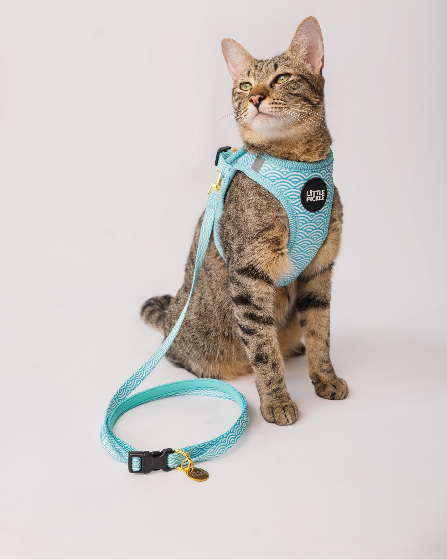 Noree Leash in Nami Jade