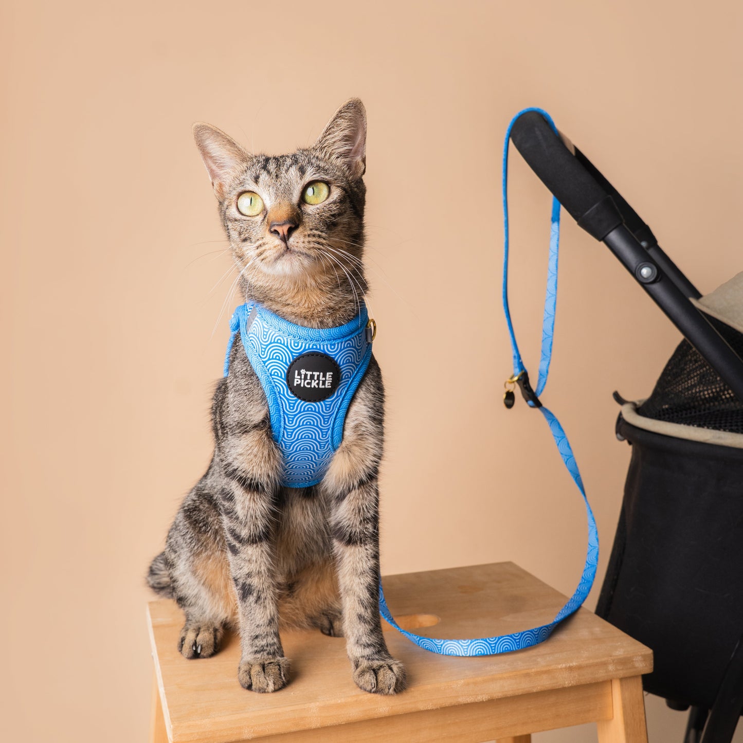Noree Leash in Nami Blue