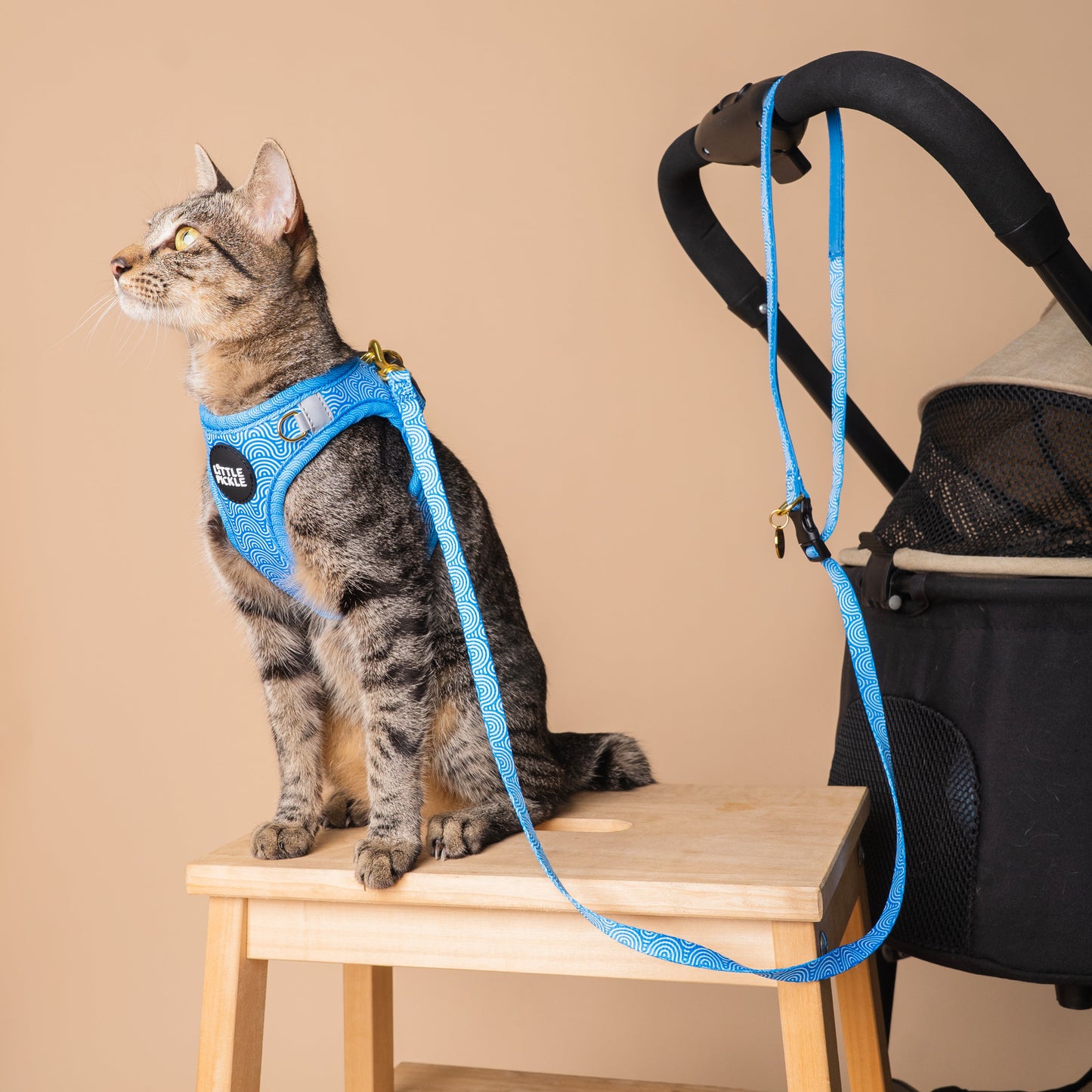 Noree Leash in Nami Blue