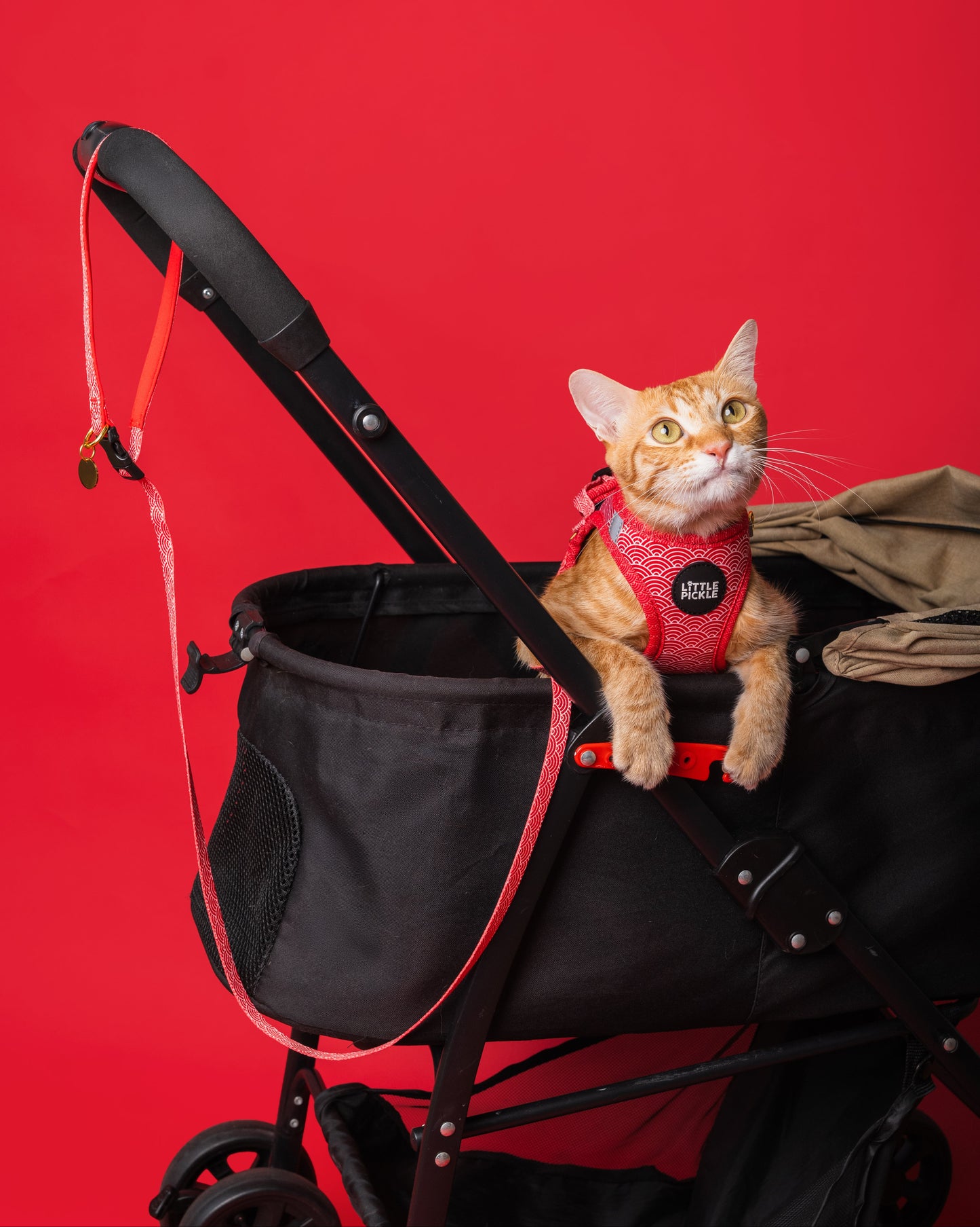 Noree Leash in Nami Red