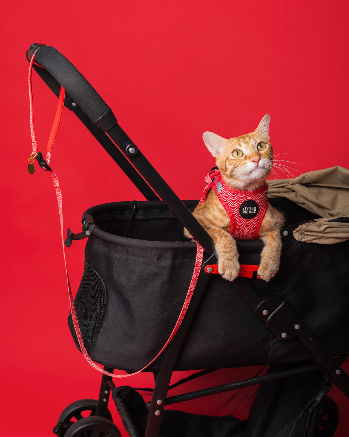 Noree Leash in Nami Red