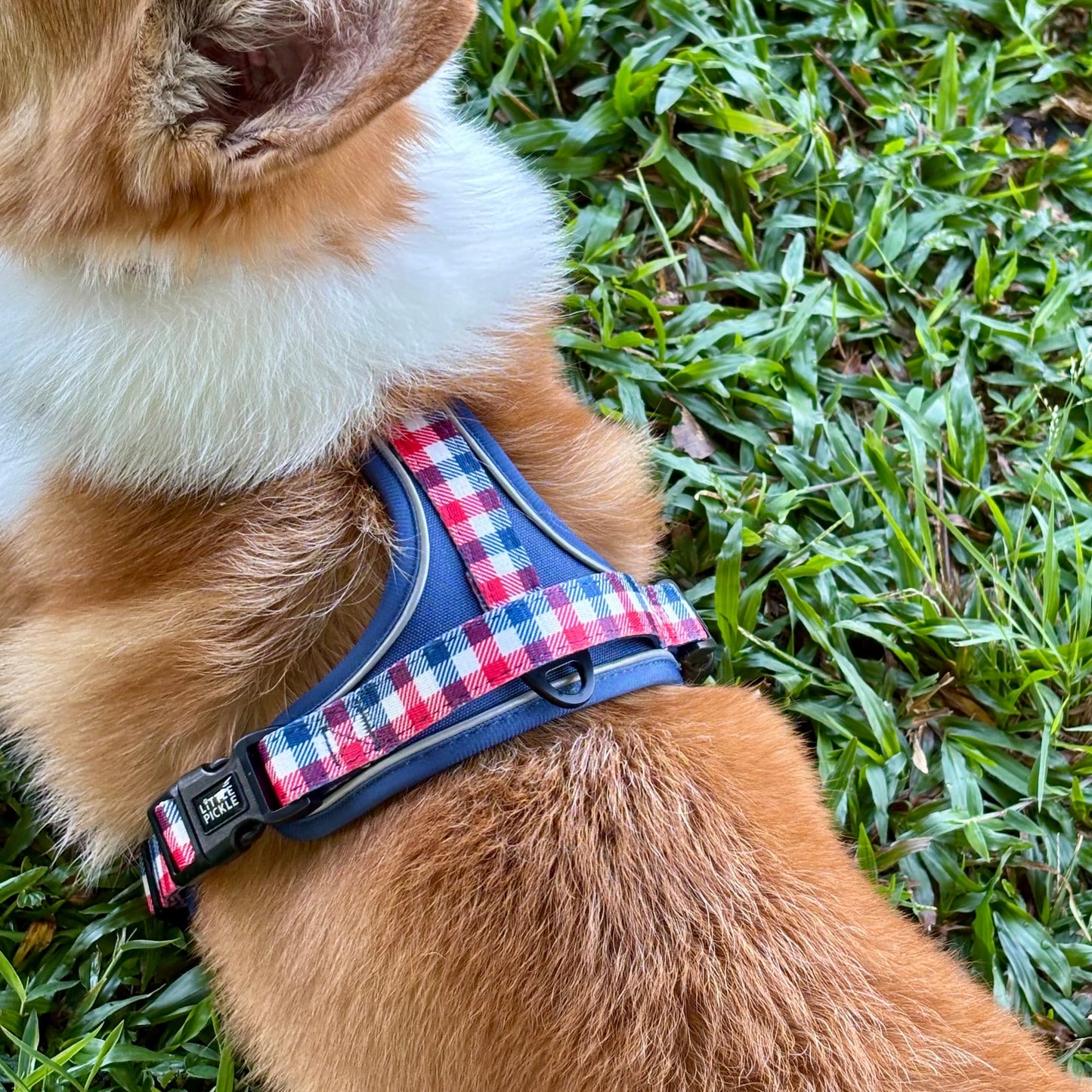 Waypoint Active Harness in Navy Blue Plaid