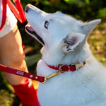 A close-up outdoor shot of a white dog wearing a red collar and red leash, held by a person in a white shirt and red boots, with a blurred green garden background.