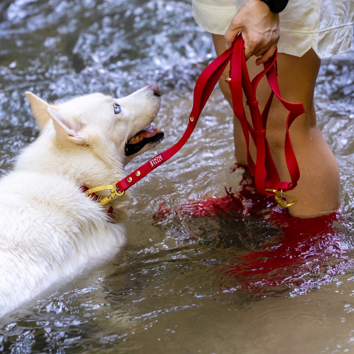 Ripply MaX Hands-Free Waterproof Multiway Leash in Royale Red