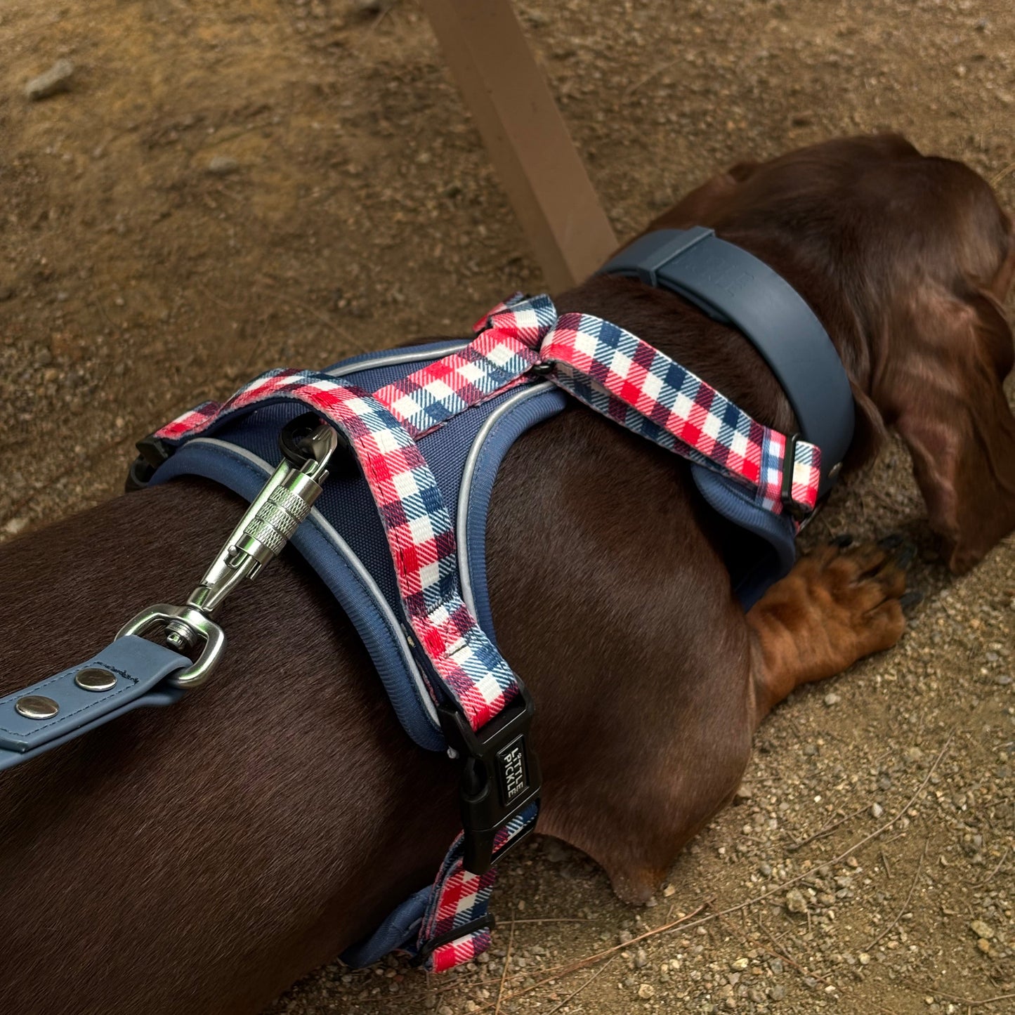 Waypoint Active Harness in Navy Blue Plaid