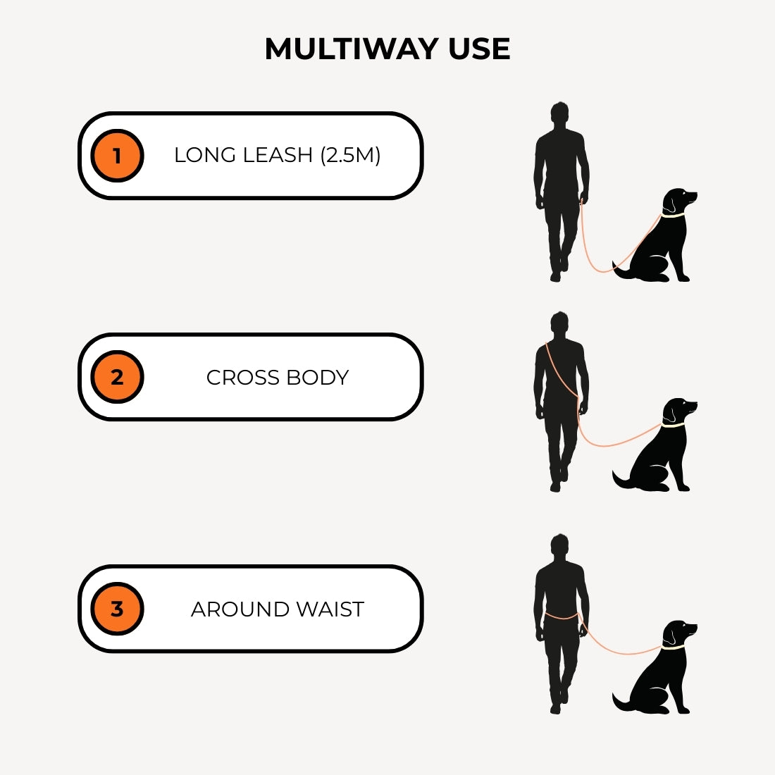 Diagram showing different uses of a dog leash with illustrations of a person and a dog.