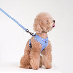 Neo Adjustable Harness in Tropical Island Design - Little Pickle