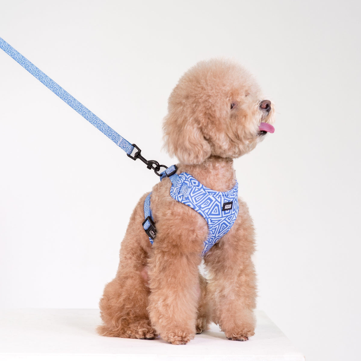 Neo Adjustable Harness in Tropical Island Design - Little Pickle