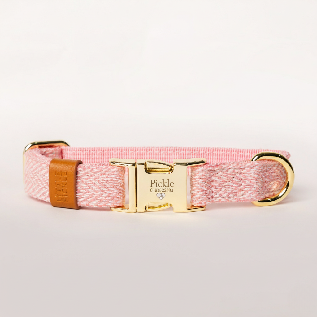 Pink dog collar with gold buckle and crystal beads