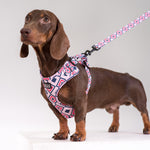 Neo Adjustable Harness in Kaleidoscope Design - Little Pickle