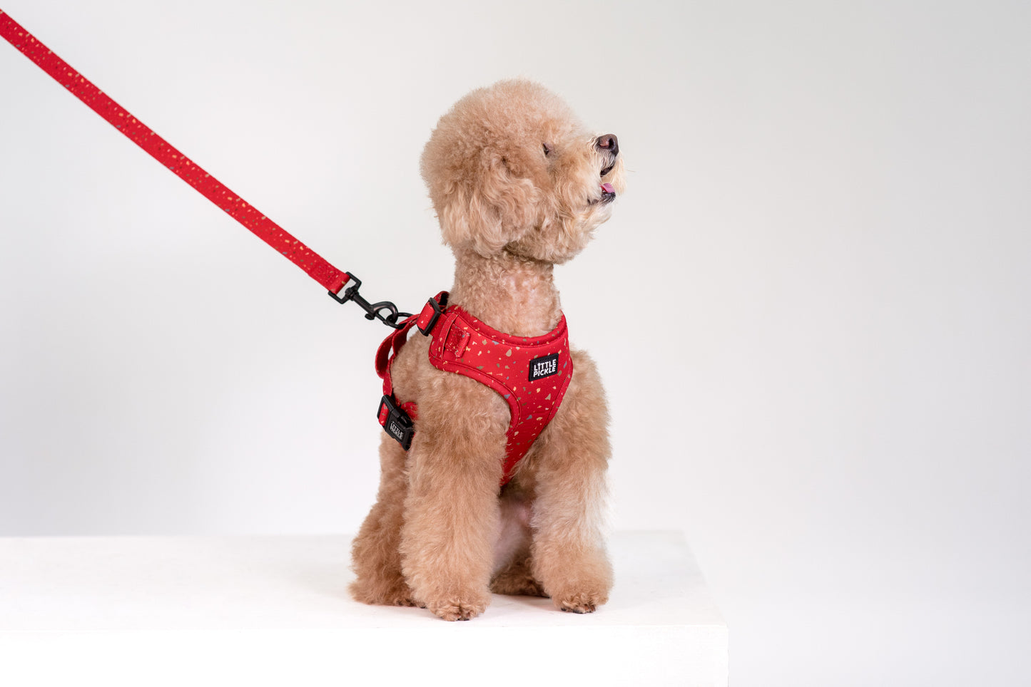 Neo Adjustable Harness in Celebration Red Design - Little Pickle