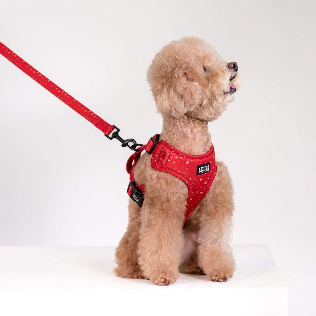 Neo Adjustable Harness in Celebration Red Design - Little Pickle