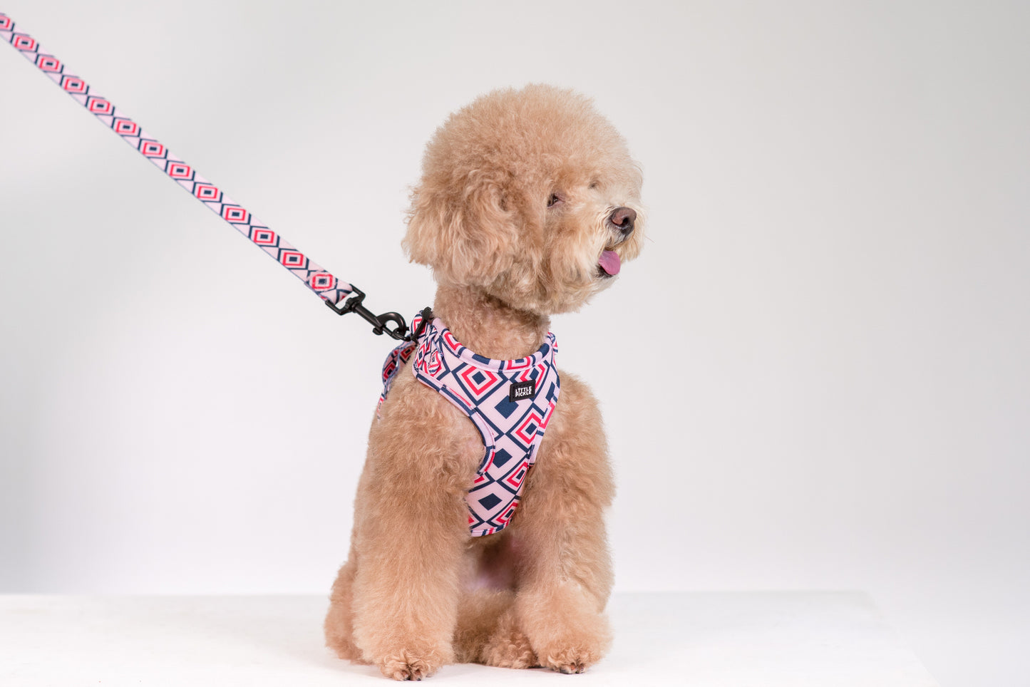 Neo Adjustable Harness in Kaleidoscope Design - Little Pickle