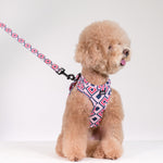 Neo Adjustable Harness in Kaleidoscope Design - Little Pickle