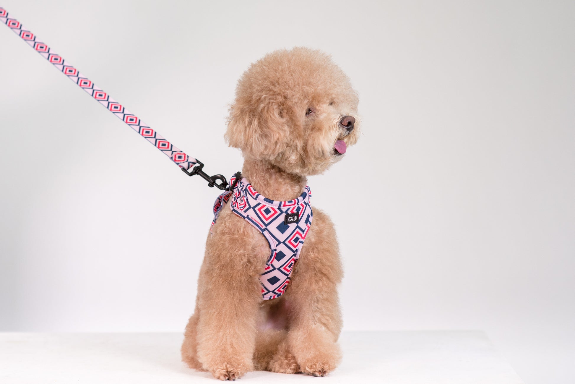 Neo Adjustable Harness in Kaleidoscope Design - Little Pickle