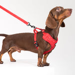 Neo Adjustable Harness in Celebration Red Design - Little Pickle