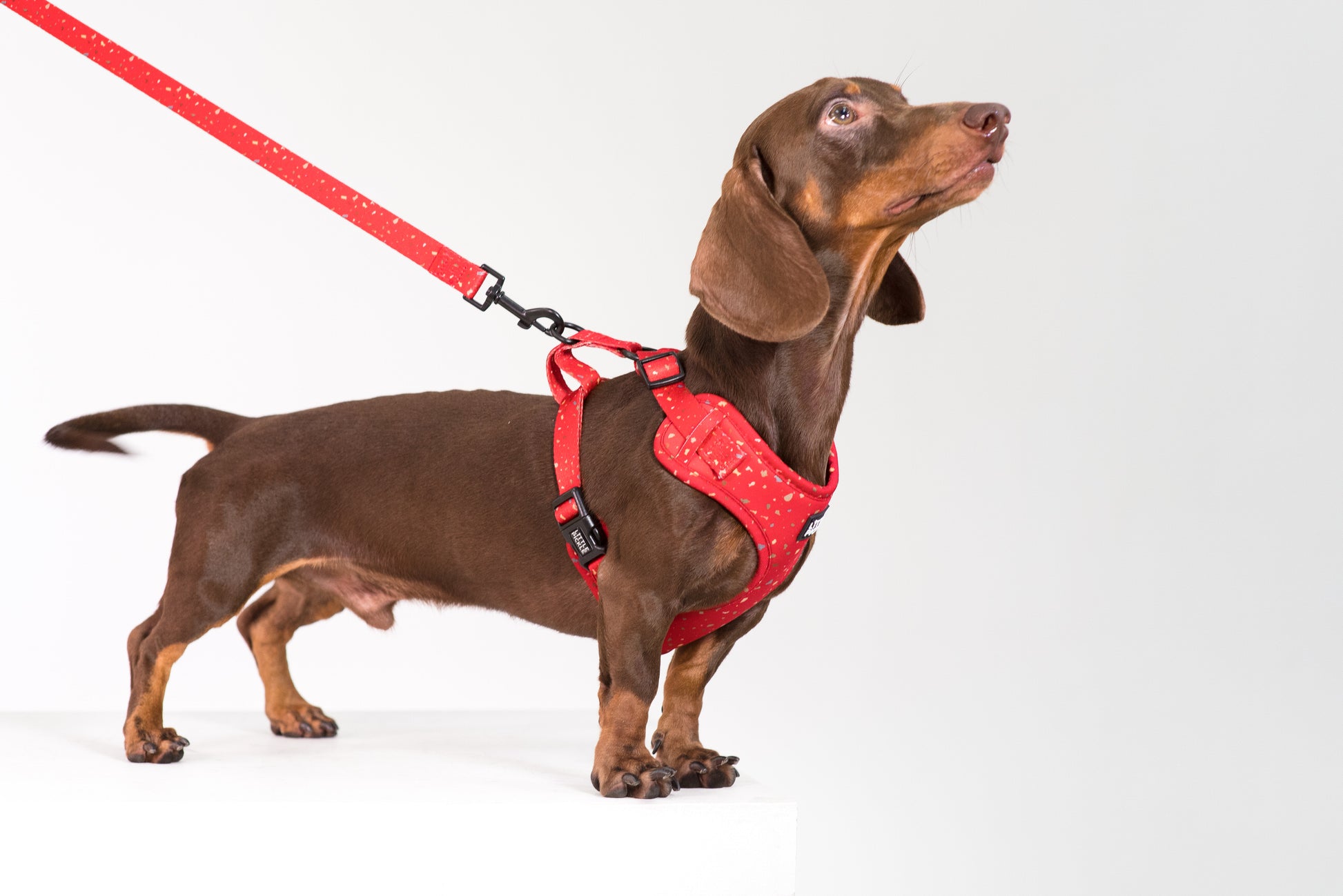 Neo Adjustable Harness in Celebration Red Design - Little Pickle